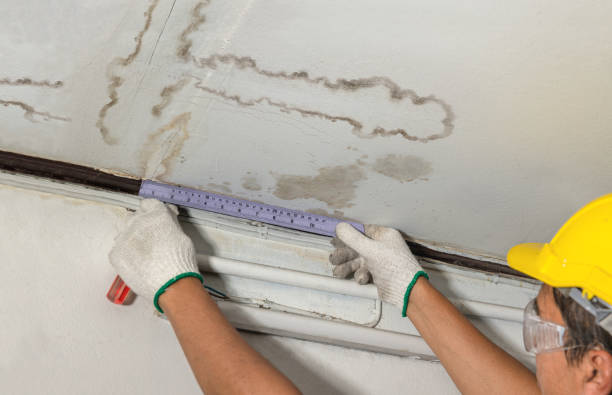 Reliable Water Damage Repair contractor in Greeley, KS by Hirex Water Damage